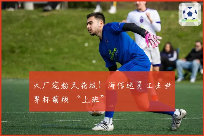 大厂宠粉天花板！海信送员工去世界杯前线 “上班”
