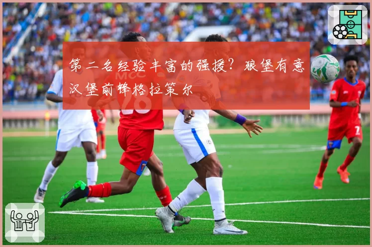 第二名经验丰富的强援？狼堡有意汉堡前锋格拉策尔