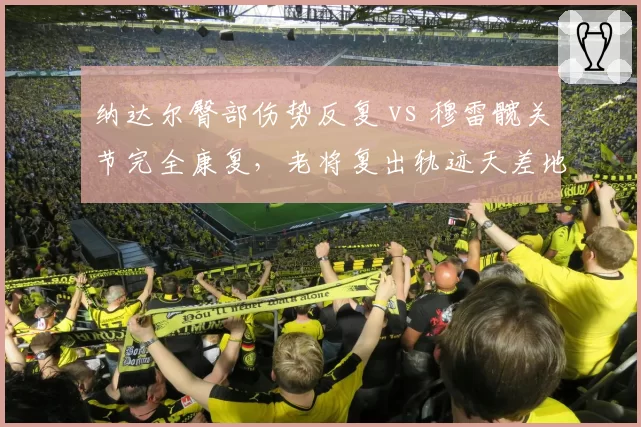 纳达尔臀部伤势反复 vs 穆雷髋关节完全康复，老将复出轨迹天差地别