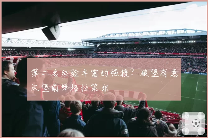 第二名经验丰富的强援？狼堡有意汉堡前锋格拉策尔
