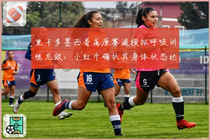 里卡多墨西哥高原赛道模拟呼吸训练见效，小红牛确认其身体状态达赛季最佳