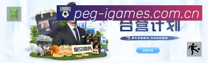 安全防护与风控机制